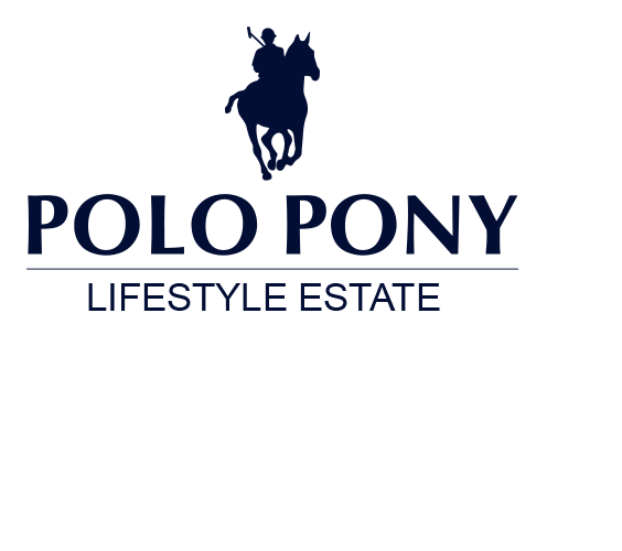 Regency - Polo Pony